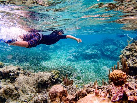 The Great Blue Hole & Lighthouse Reef Atoll Snorkel - San Pedro, Corozal District