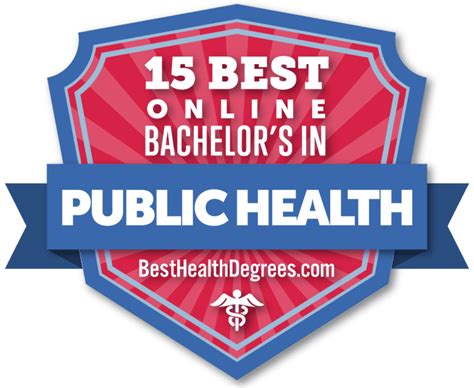 15 Best Online Bachelor's in Public Health - The Best Health Degrees