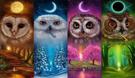 Choose One of the 4 Owls and Find Out the Truth About Yourself - Namastest