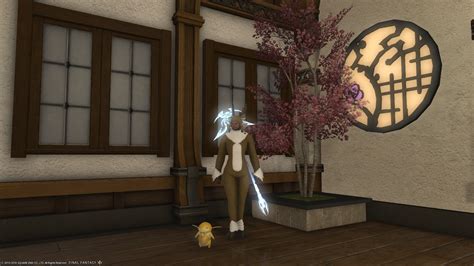 New Doman Dogwoods can be purchased from the Enclave upon reaching max rank : r/ffxiv