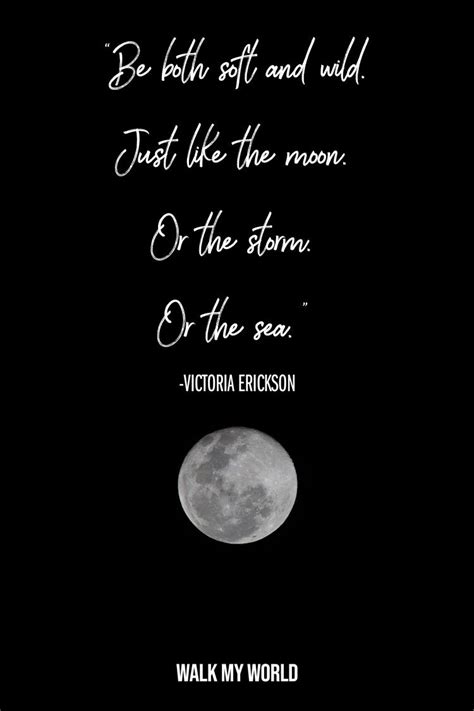 50 Inspirational Moon Quotes — Walk My World