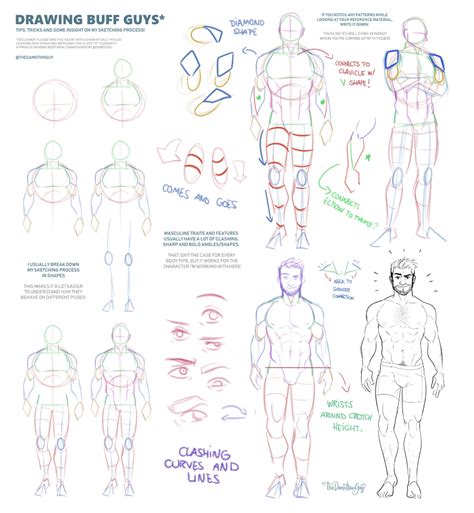 Male Anatomy Diagram Art : These elements reside in trillions of cells and non cellular ...