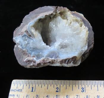 Fossils-Crystals.com – MichiganThunder Egg with Quartz