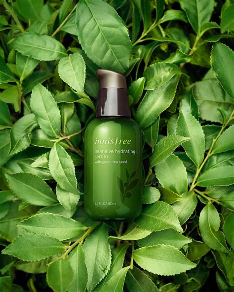 Korean Beauty Favorite Innisfree Is Launching In The US | Domino