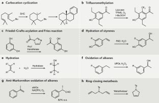 Extending the application of biocatalysis to meet the challenges of drug development | Nature ...