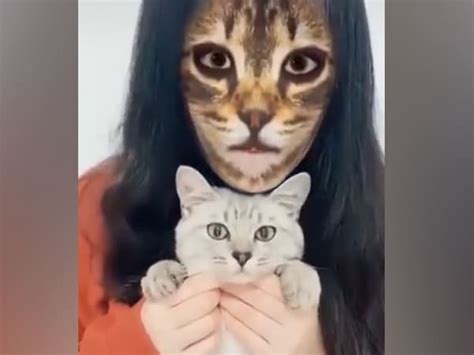 Viral: Cats' Funny Reactions To Cat-Face Filter On Their Owners' Faces Will Keep You LOLing All ...