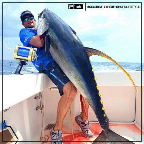 Yellowfin | Saltwater fishing, Ocean fishing, Big game fishing