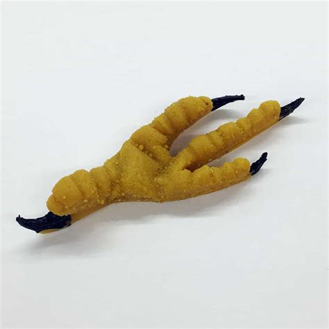 Bald Eagle Life Size Foot Replica - Puzzleheads Educational Products