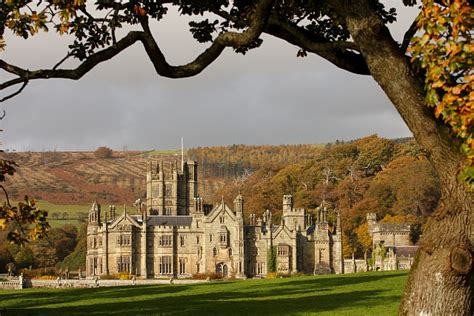 Jeremy Inglis Photography: Margam Park Deer