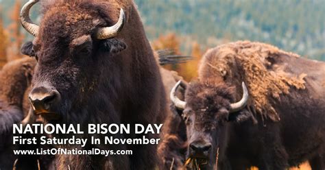 1100-NATIONAL-BISON-DAY - List Of National Days