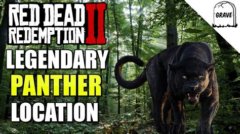 Legendary Panther Location Red Dead Redemption 2 - YouTube