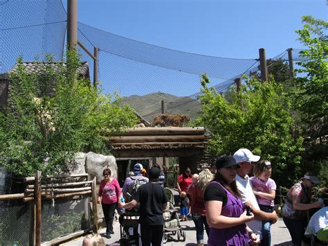 Hogle Zoo, Salt Lake City, Utah | The tiger (Panthera tigris… | Flickr