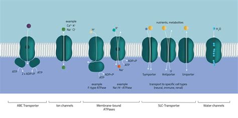 Integral Membrane Proteins