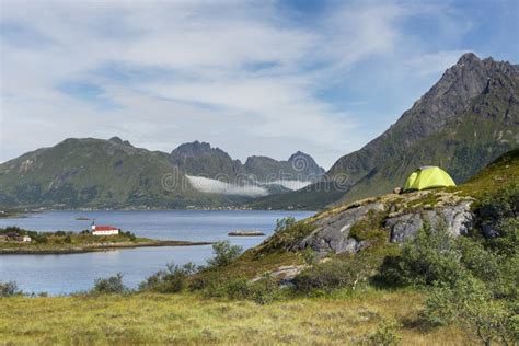 Camping on Lofoten Islands stock image. Image of arctic - 58892513