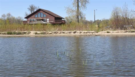 Golden algae bloom on Little Rock Lake a good sign after drawdown