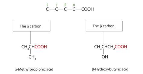 Carboxylic Acids: Structures and Names