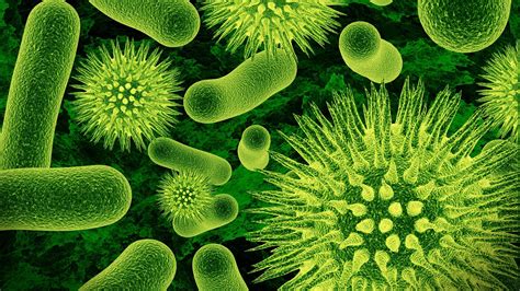 nature, Closeup, Microscopic, Viruses, Bacteria, Science, Green, Biology Wallpapers HD / Desktop ...