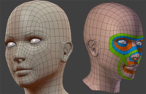 3d Topology Head