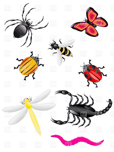 Bugs Clipart Beef