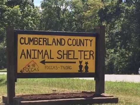 Petition · Build a new Crossville/Cumberland County animal shelter in a new visible location ...