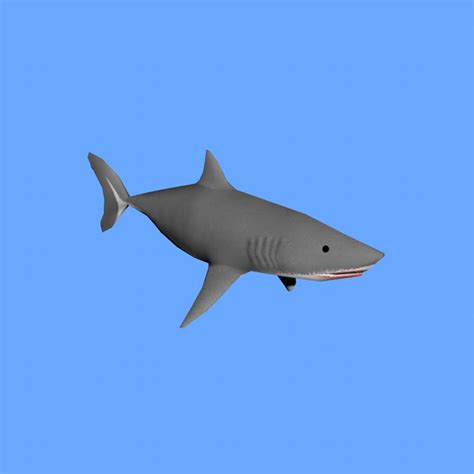 3d Model Shark