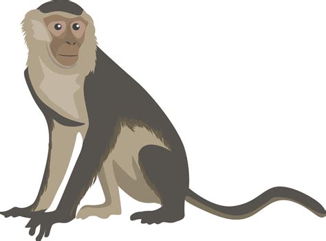 Nut clipart cartoon monkey, Nut cartoon monkey Transparent FREE for download on WebStockReview 2023