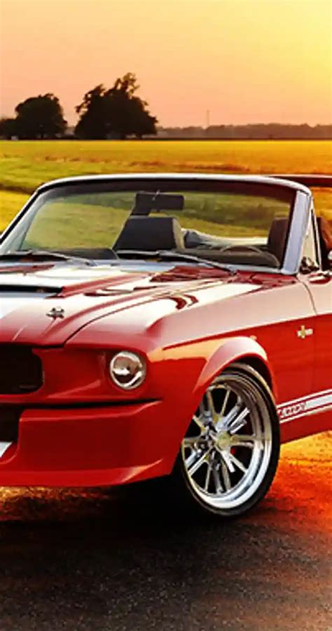 Fancy Mustang Differences - Free Online Games - 🕹️ play on unvgames