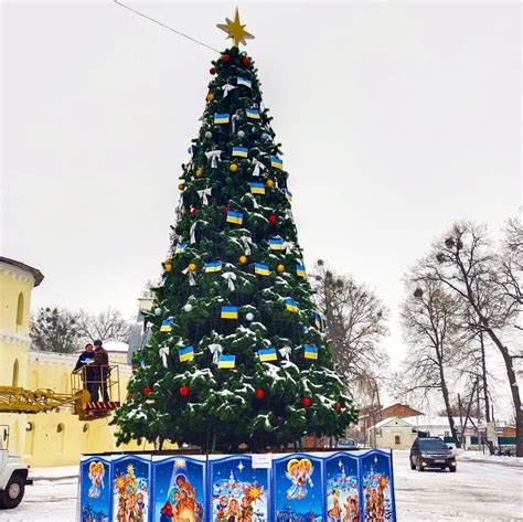 Invincible Christmas trees: how Ukrainian cities prepare for holidays ...