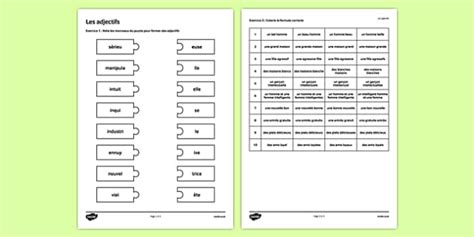 Les adjectifs Exercices (teacher made) - Twinkl