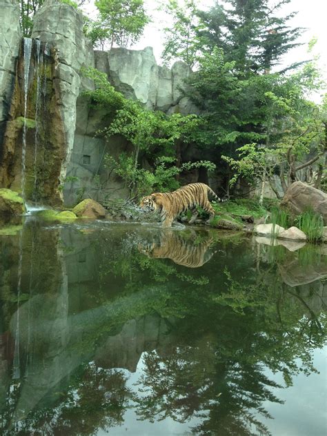 Zoo Leipzig in Leipzig, Sachsen | Leipzig, Zoo, Germany