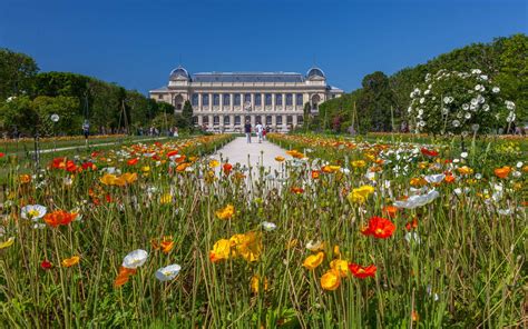 De quand date le jardin des plantes de Paris