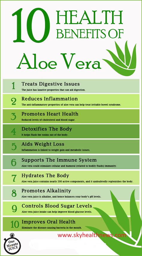 Aloe vera juice is one of world pure nature's great healers gel absorb ...