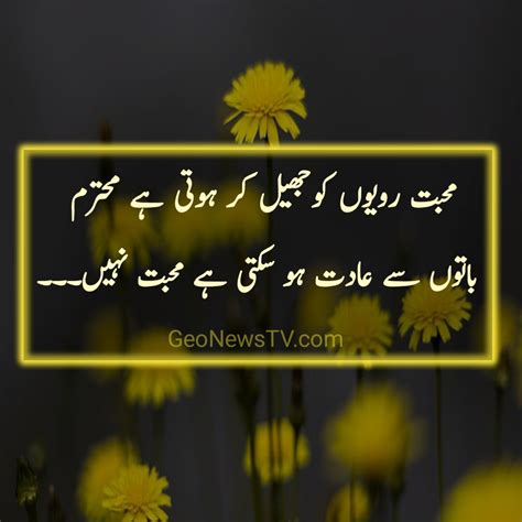 Poetry in urdu 2 lines - 2 lines poetry - Attitude Shayari Urdu