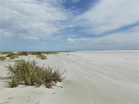 Beaches - Cumberland Island National Seashore (U.S. National Park Service)