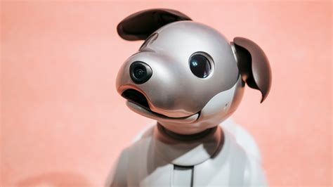 Whatever Happened To Sony's Aibo Robot Dog?