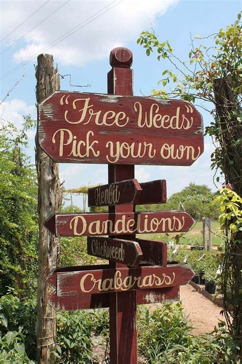 37+ Creative & Funny Garden Sign Ideas For 2023 | Vintage garden decor ...