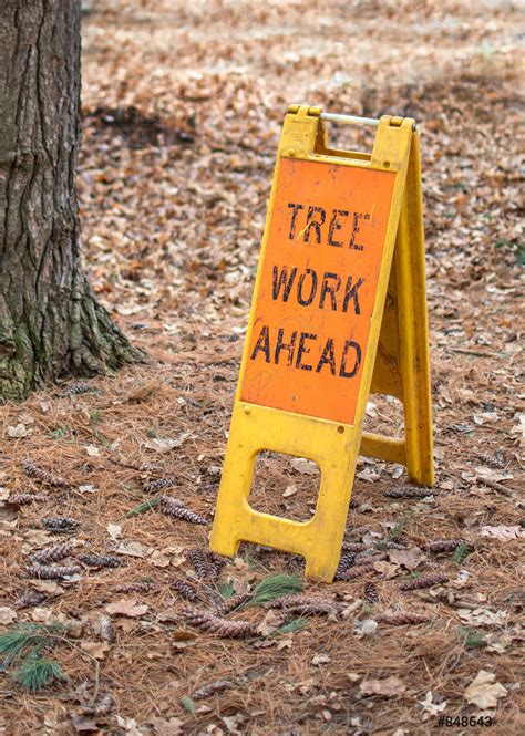 Tree work ahead sign - stock photo 848643 | Crushpixel