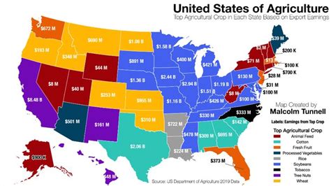 Mapping the Most Valuable Agricultural Commodity in Each U.S. State ...