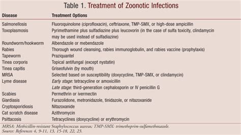 Zoonotic Infections: Your Pets Can Make You Sick