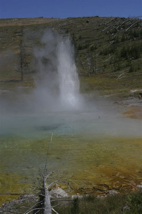 Yellowstone geyser | Yellowstone, Natural landmarks, Geyser