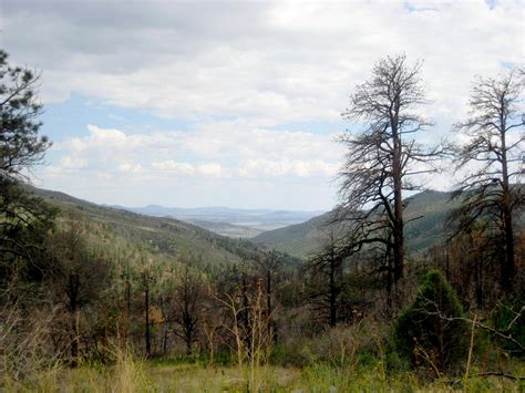 Living Rootless: Sugarite Canyon State Park, NM: Summer Love