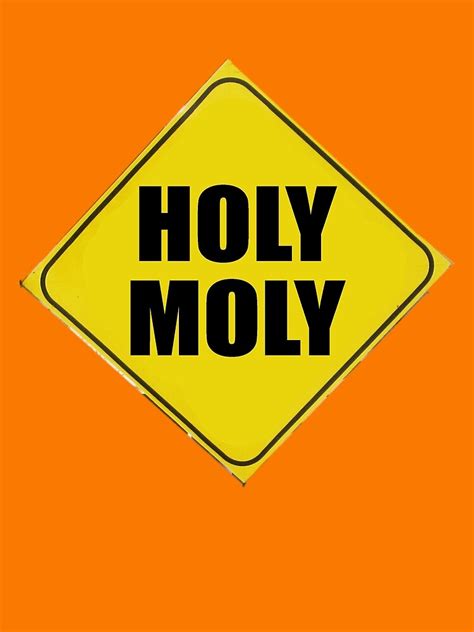 "HOLY MOLY" by DAdeSimone | Redbubble