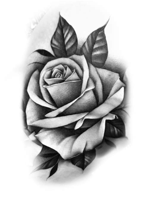 Pin by iggy on DIY | Rose drawing tattoo, Realistic rose tattoo, Rose flower tattoos