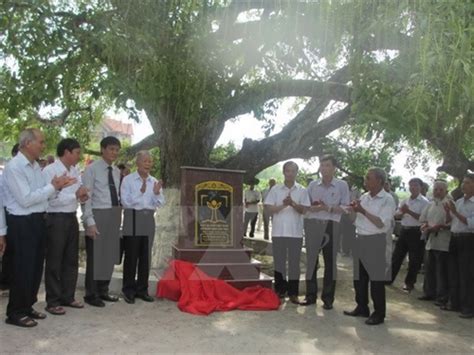 Ancient tree in Vĩnh Phúc now a Heritage