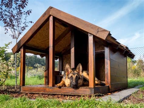 27 Best Heated Insulated Dog Houses Reviewed 2022 - Animalso