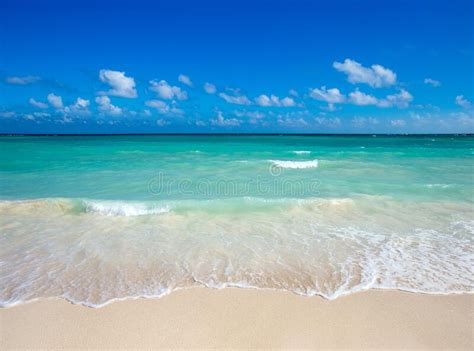 Tropical beach in Maldives stock photo. Image of water - 261590214