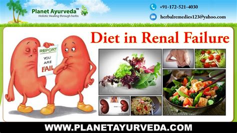 Diet in Renal failure | Foods to Eat in Chronic kidney disease - YouTube