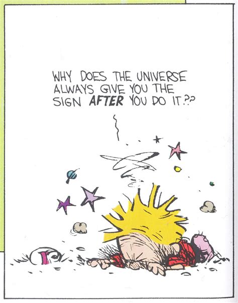 Calvin And Hobbes - Why does the universe always give you the sign ...