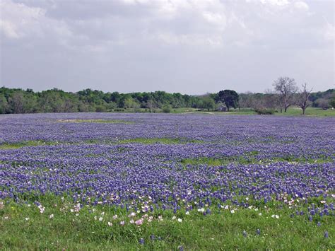 Texas countryside | Flickr