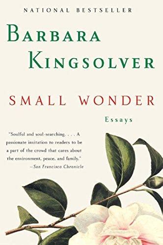 10 of the Best Barbara Kingsolver Books - Barbara Kingsolver Novels